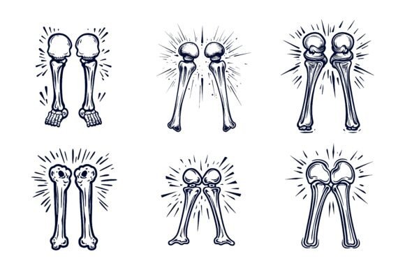 Anatomy Illustration Set: Knee, Leg, Scapula, and Skull