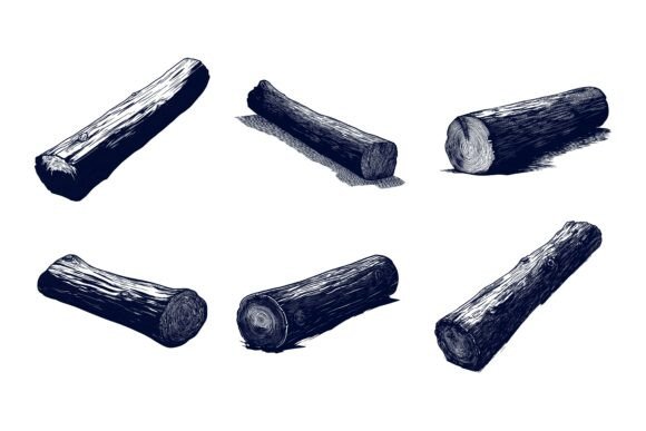 Pieces of Tree: A Practical Exploration of a Specialized Illustration Collection