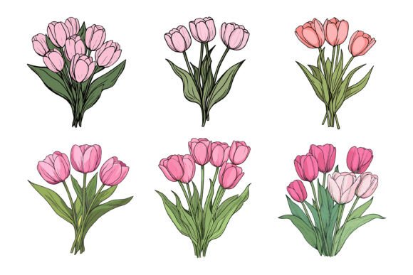 Tulips Buds & Leaves Vector Illustration Set
