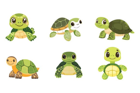 Turtle Illustrations That Bring Creative Projects to Life